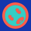 Kakashi